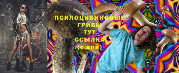 spice Алексеевка