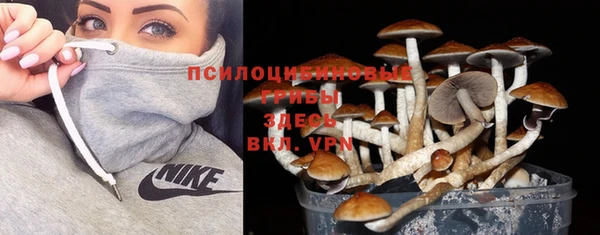 spice Алексеевка