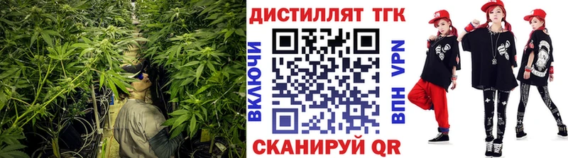 купить наркоту  дарк нет телеграм  ТГК Wax  Андреаполь 
