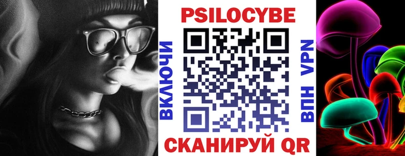 Галлюциногенные грибы мухоморы  магазин продажи наркотиков  Андреаполь 